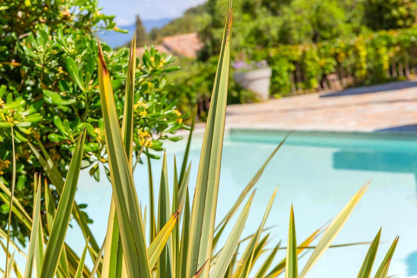 Residence Les Toits De Santa Giulia Порто-Веккьо Экстерьер фото