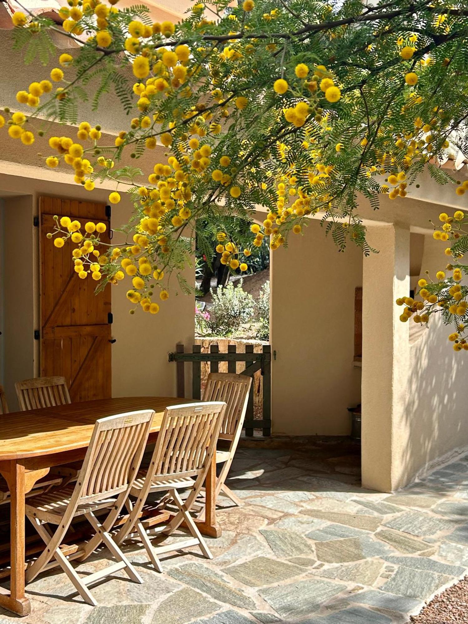 Residence Les Toits De Santa Giulia Порто-Веккьо Экстерьер фото